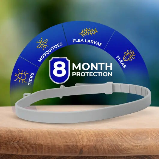 Natural Flea and Tick Collar
